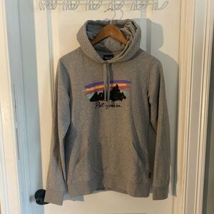Patagonia Gray Hoodie with Multicolor Mountain Graphic